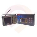 Радио MEiER M-561BT (1x18650/2xR20) купить в Донецке ДНР 