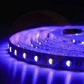 Лента LED 28х35 -60 4.8w/м синий,IP20,1м купить в Донецке ДНР 