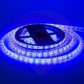 СД лента ip65 5м 60led 14.4w 50х50 синяя купить в Донецке ДНР 