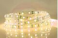 СД лента Devol LS-5630-60LED-IP20-WW Теплая, цена за 5м (KHA No:A-139) (1/100) купить в Донецке ДНР 