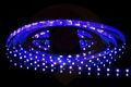 СД лента Devol LS-2835-60LED-IP20-BLUE Синяя, цена за 5м (KHA No:A-132) (1/100) купить в Донецке ДНР 