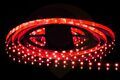 СД лента Devol LS-2835-60LED-IP20-RED Красная, цена за 5м (KHA No:A-130) (1/100) купить в Донецке ДНР 