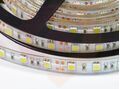 Лента LED 50х50 -60 14.4w/м теплый белый, Герметичная,IP65,1м купить в Донецке ДНР 