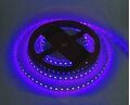 СД лента Devol LS-2835-120LED-IP20-BLUE Синяя, цена за 5м (KHA No:A-137) (1/100) купить в Донецке ДНР 